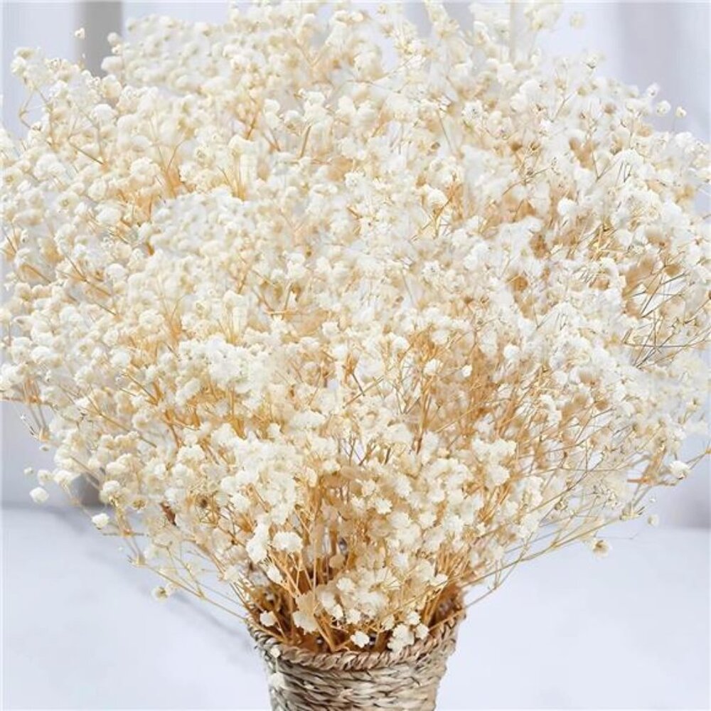 6000+ Dried Babys Breath Flowers Bulk - 17" Ivory White Dried Flower Bouquet,